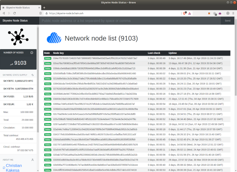 Site web de Skywire-node